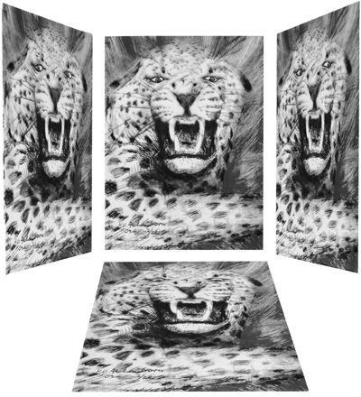 Bild Ein aggressiver Leopard von Uli Aschenborn
